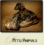 pets